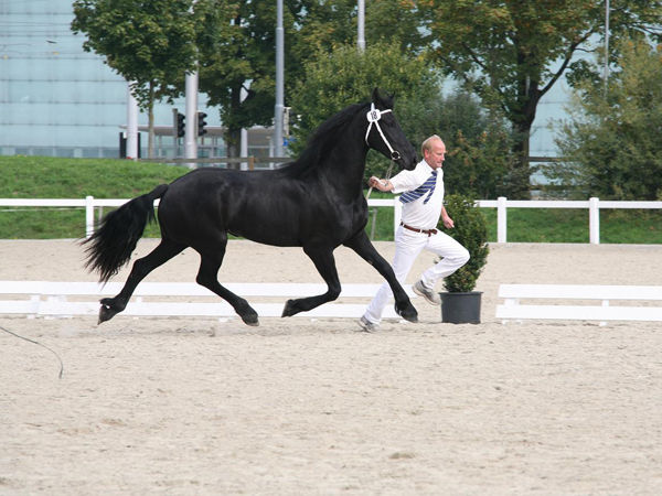 Over Ons Charles Hoeve