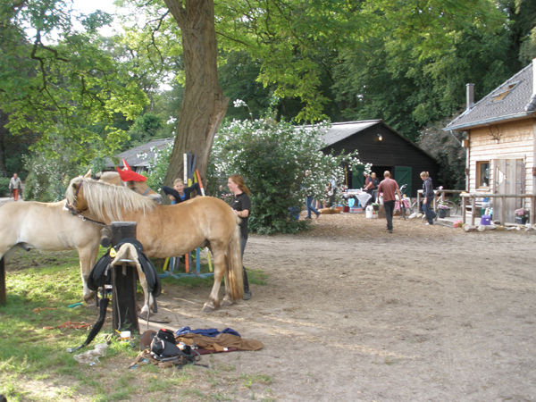 Paardenstalling Charles Hoeve