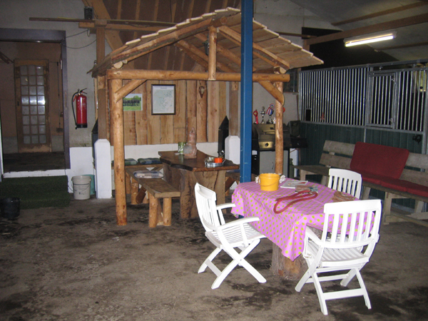 Paarden weidegang Charles Hoeve